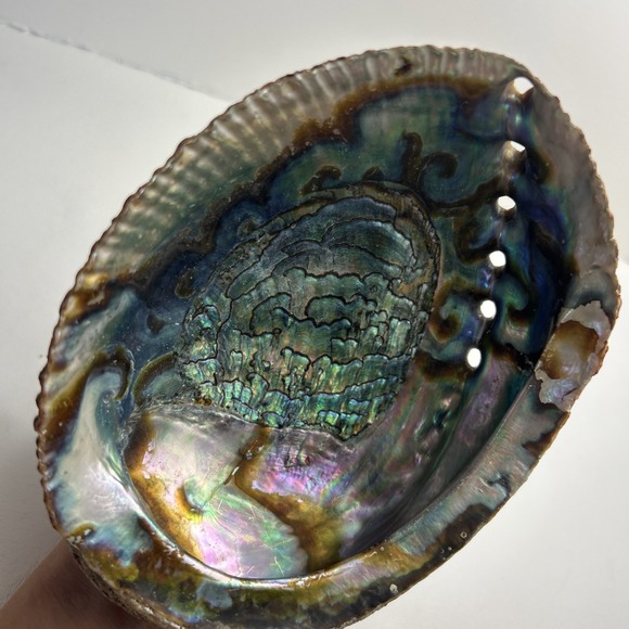 Abalone Shell Smudging Bowl Seashell Incense Burner, 5-6 Inches - Picture 2 of 5